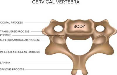 Cervical spine surgery