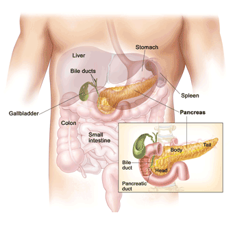 Pancreatic cancer treatment